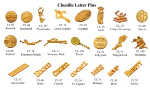 chenille letter pins